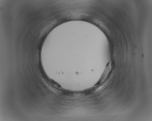 X0000067830493200605111620