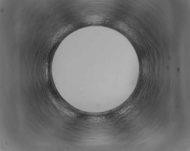 X0000067830494200605111620