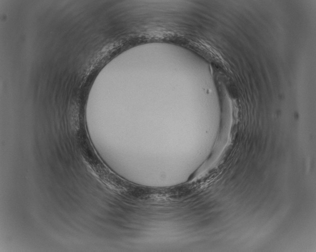 X0000067830496200605111620