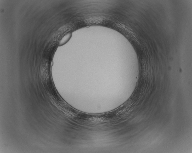 X0000067830498200605111620