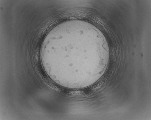 X0000067830499200605111620