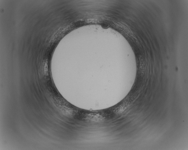 X0000067830502200605111620