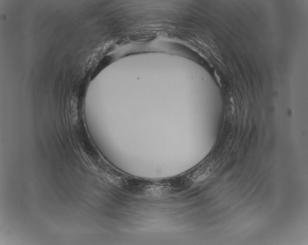 X0000067830504200605111620