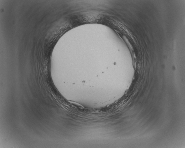 X0000067830505200605111620