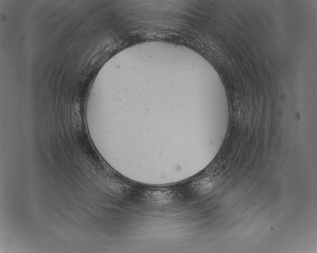 X0000067830506200605111620