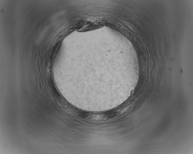 X0000067830507200605111620