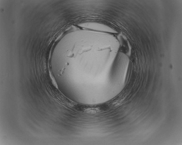 X0000067830508200605111620