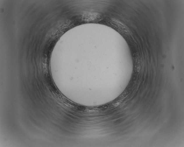 X0000067830510200605111620