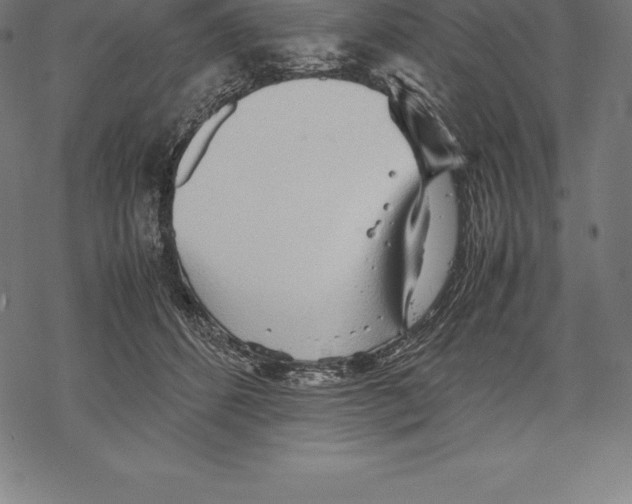 X0000067830512200605111620