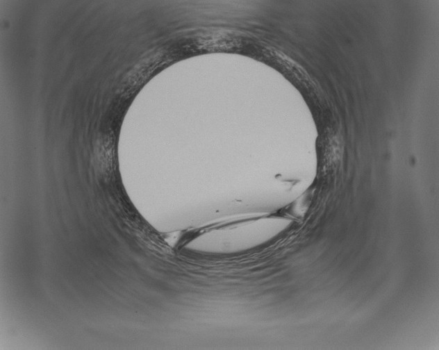 X0000067830513200605111620