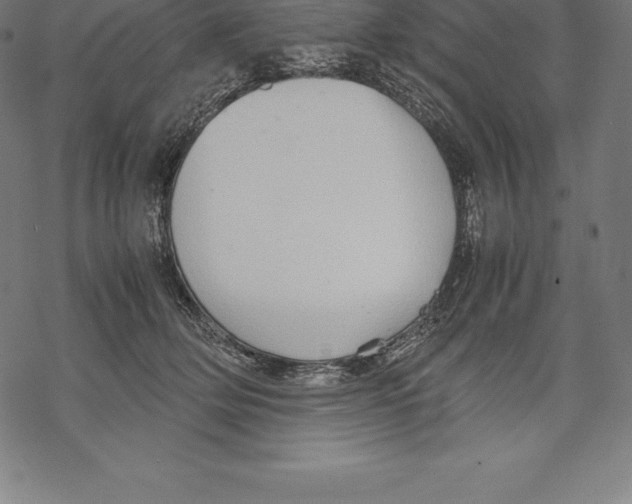 X0000067830514200605111620