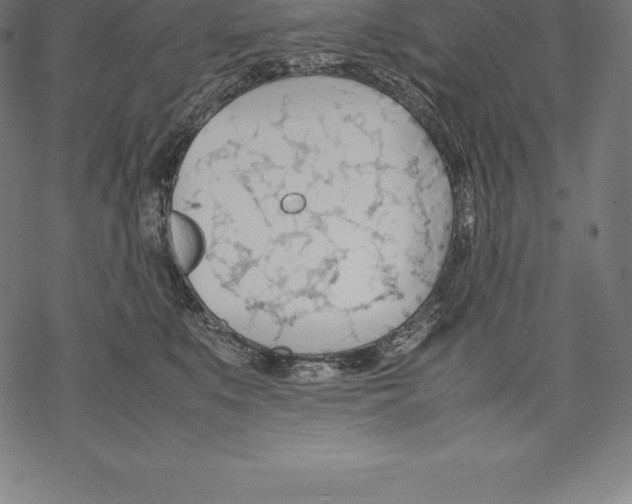 X0000067830519200605111620