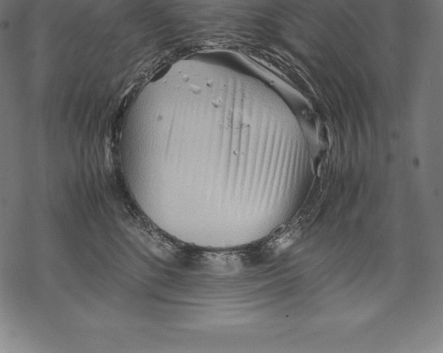 X0000067830520200605111620