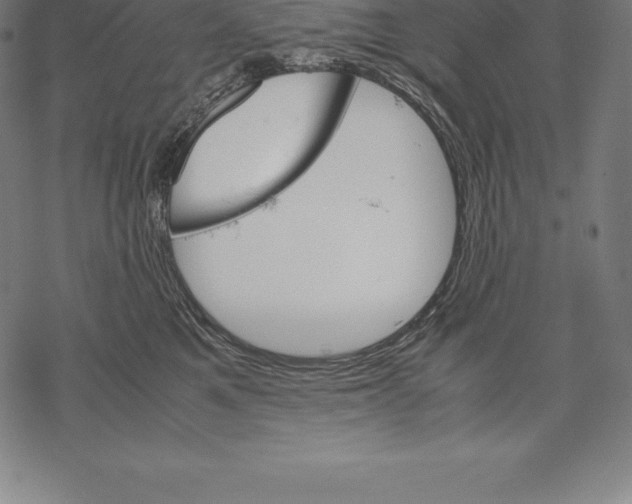 X0000067830521200605111620