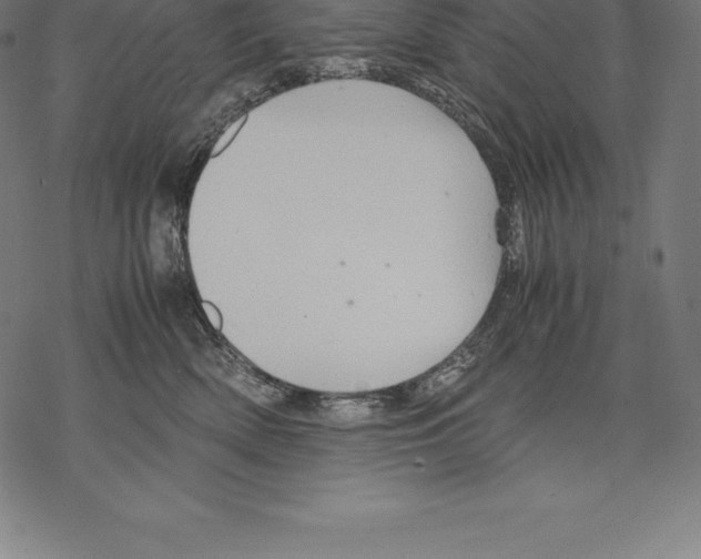 X0000067830522200605111620