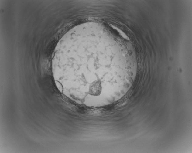 X0000067830523200605111620