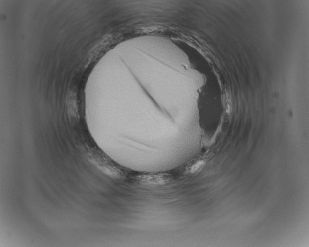 X0000067830524200605111620