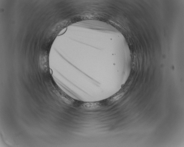 X0000067830526200605111620