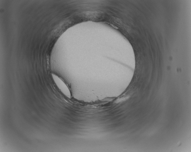 X0000067830528200605111620