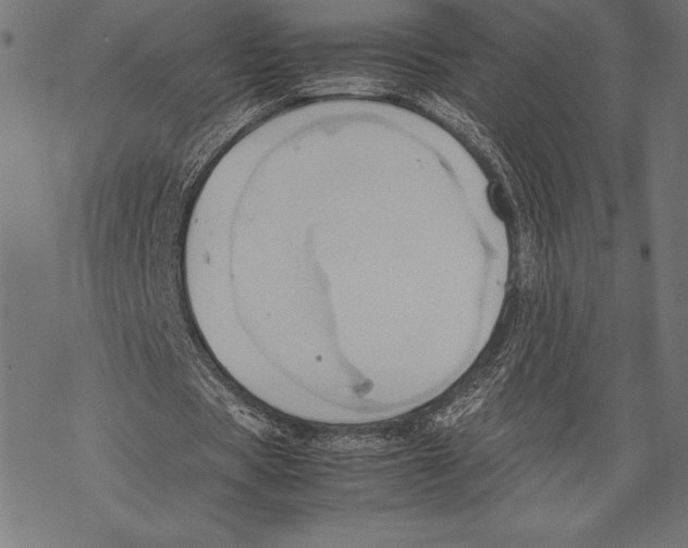 X0000067830529200605111619