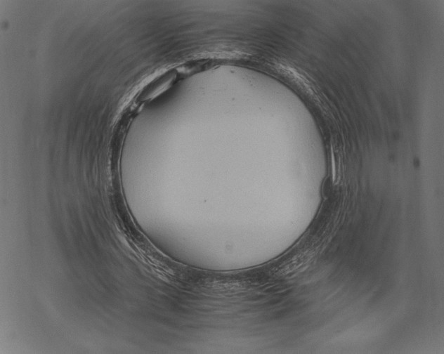 X0000067830531200605111619