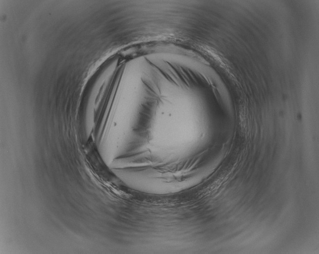 X0000067830532200605111619