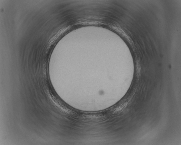 X0000067830533200605111619