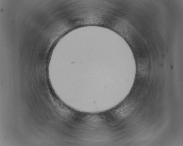 X0000067830534200605111619