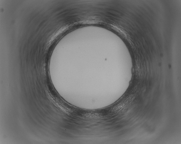 X0000067830535200605111619