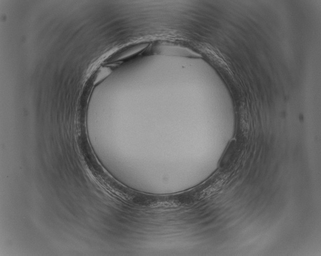 X0000067830536200605111619