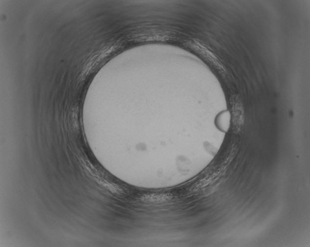 X0000067830537200605111619