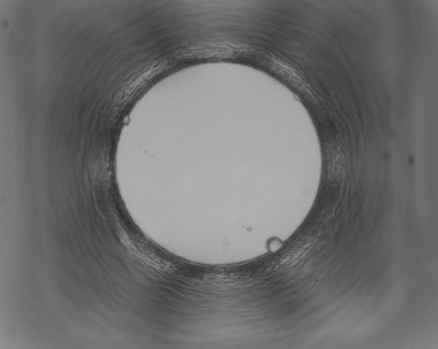 X0000067830538200605111619