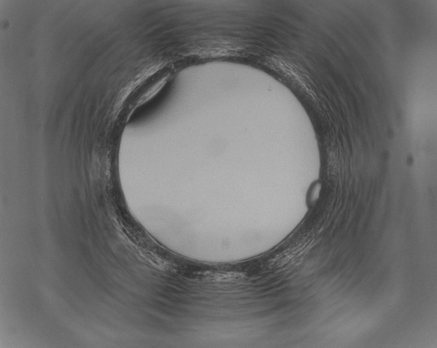 X0000067830539200605111619