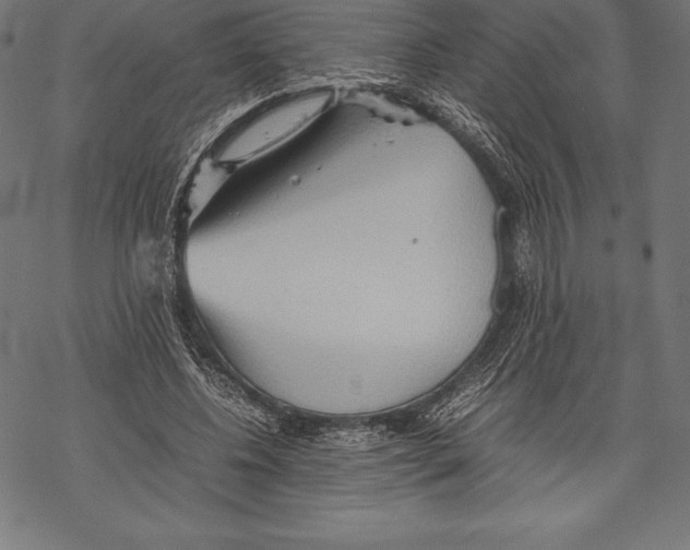 X0000067830540200605111619