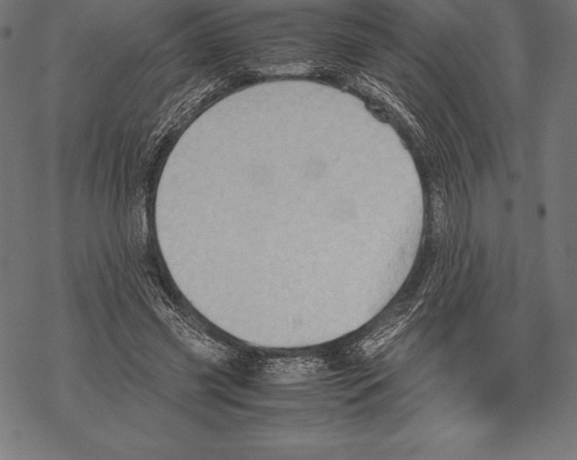 X0000067830541200605111619