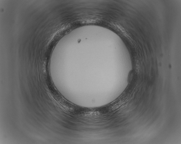 X0000067830543200605111619