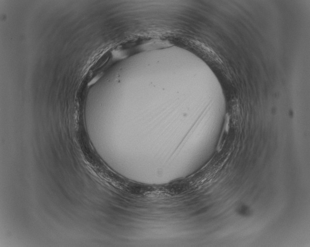 X0000067830544200605111619