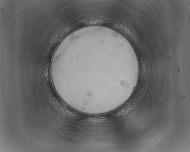 X0000067830545200605111619