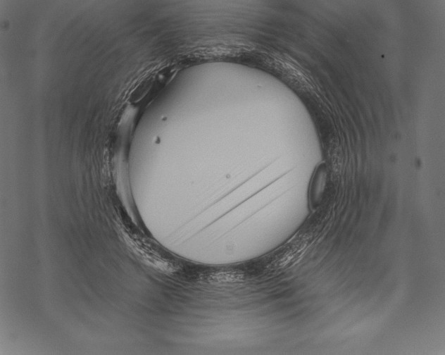 X0000067830546200605111619