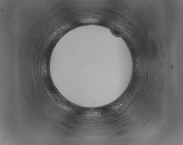 X0000067830547200605111619