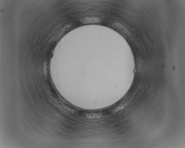 X0000067830549200605111619