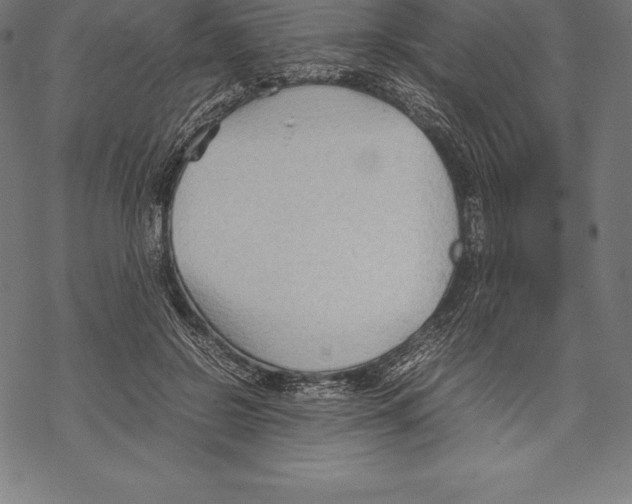 X0000067830550200605111619