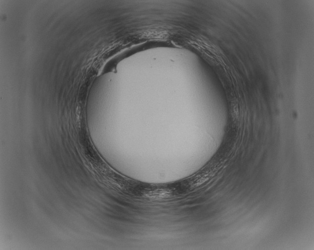 X0000067830551200605111619