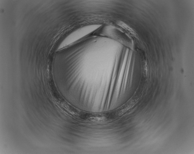 X0000067830552200605111619