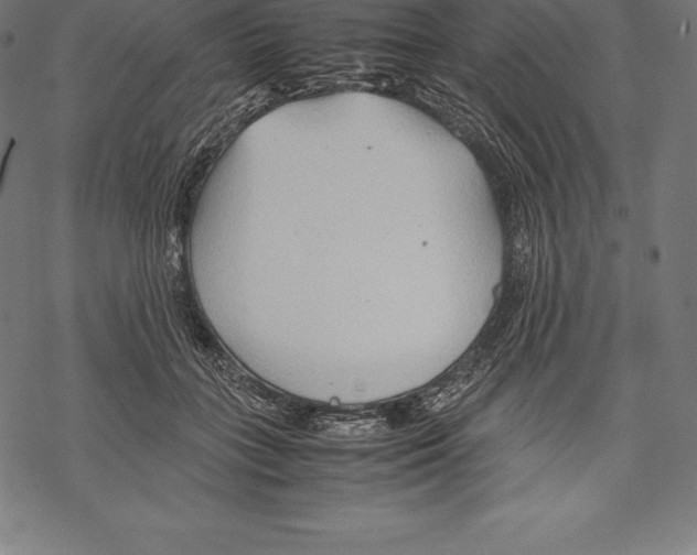 X0000067830555200605111620