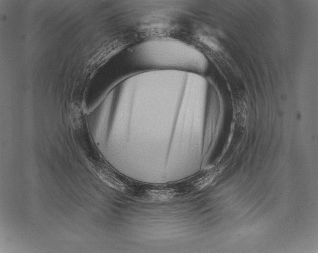 X0000067830556200605111620