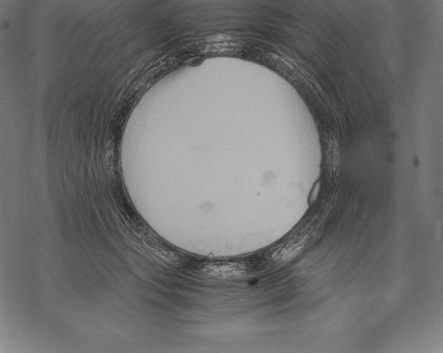 X0000067830557200605111620