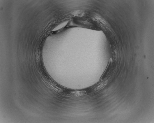 X0000067830558200605111620