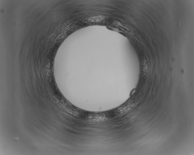 X0000067830559200605111620