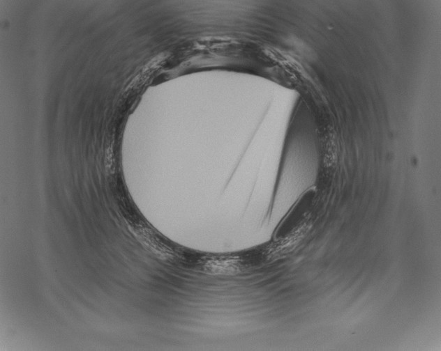 X0000067830560200605111620